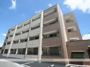 コート バンブーグラスの画像