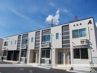 アムールAの画像