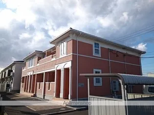 プラシードの画像