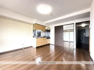 ヴェルドミール西桔梗【301号室】の内装