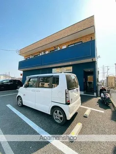 カーサスミレの画像