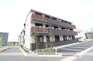 リリー アネラの画像