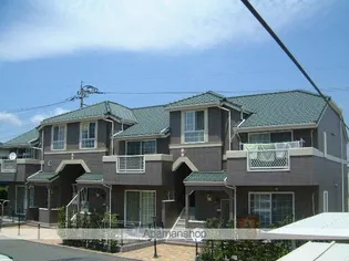 エクセレントCの画像