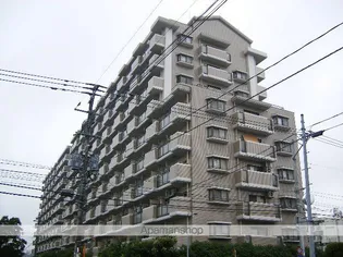 アンピール空港通りの画像