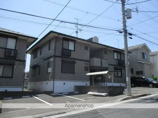ステジュアンAの画像