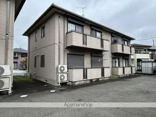 アスナロの画像