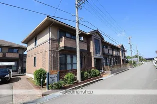 アルカディア産王 Aの画像