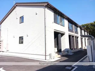 プラシードの画像