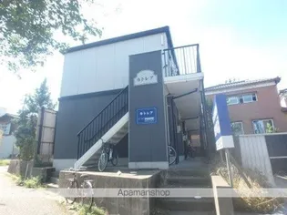 カトレアの画像