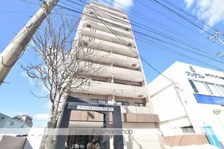 メゾンパティオリーブル豊川【10階】の外観