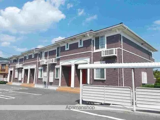 JASMINEの画像