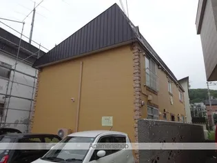 バルーンフラワーの画像