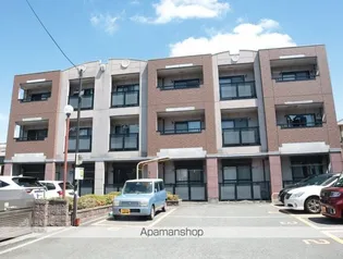 パラディーゾ百舌鳥の画像