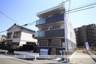 シャルマンYの画像