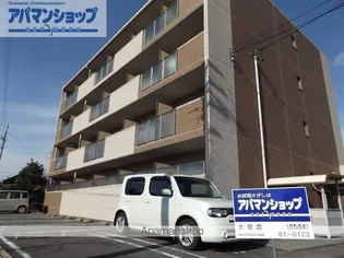 ラフィーネシャラの画像
