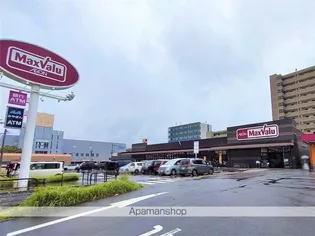 レオパレス木花【203号室】の周辺