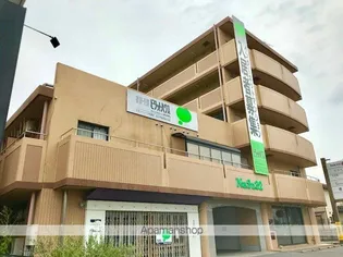 ヴィレッタの画像