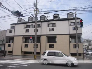 コスモエルストの画像