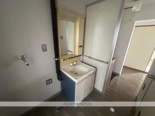 フナヤマヒルズマンション花ノ井【301号室】のその他画像