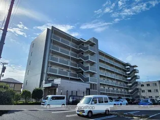 ホワイトヒルズ ドリーバーデンの画像