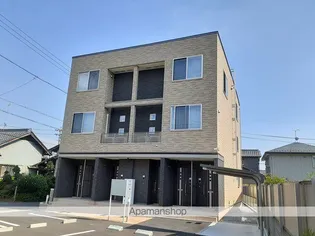 オルカの画像