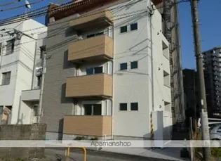 ウェリス花畑の画像