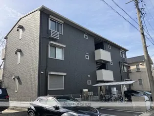 プリムローズの画像