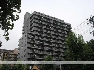 バンベール金山の画像