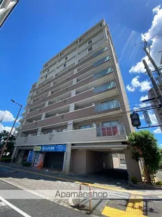 コプリーキタハナダの画像