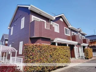 ヴィオレッテT UーDの画像