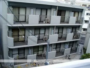 シーザリオ みらいの画像