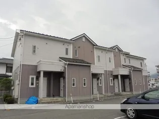 モルティ カミジマの画像