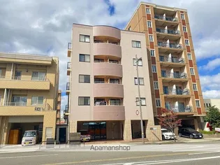 ステラコートの画像