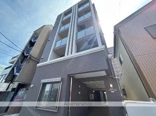 アリウムの画像