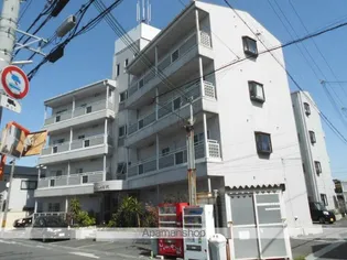 ステートリー羽衣の画像