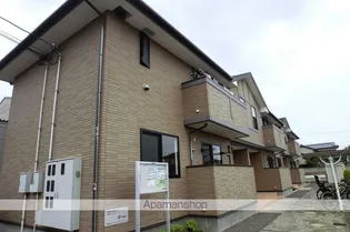 カームリリーの画像