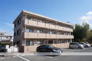 CHELSEA【2階】の外観