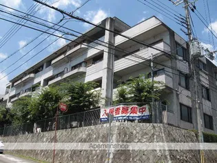 アビタ コシキイワの画像