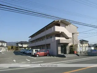 プリムローズIの画像