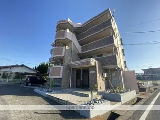 ブルーベルSAITOの画像