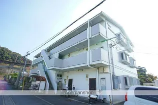 ピュア松本の画像