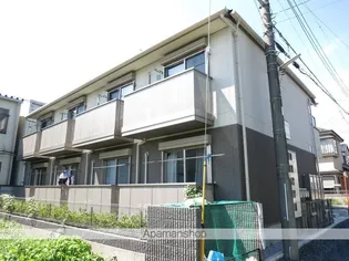 オーキッドの画像