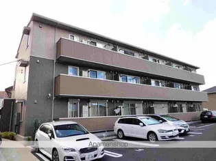 セレーナ並木の画像