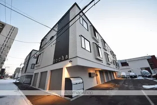 MOCHAの画像