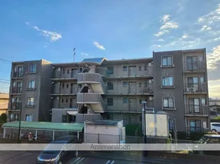 センチュリームラマツⅠの画像