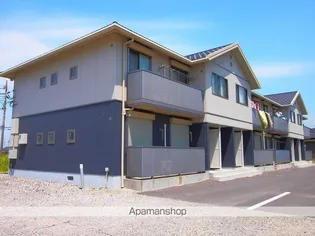 フリーダム樹の画像