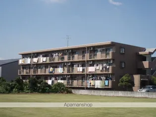 シャルマン大野の画像