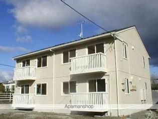 パインメイプルの画像