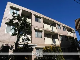 ノーザンハウスの画像