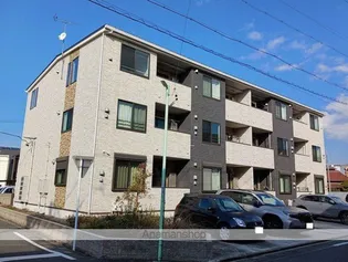 ブルーデイジーの画像